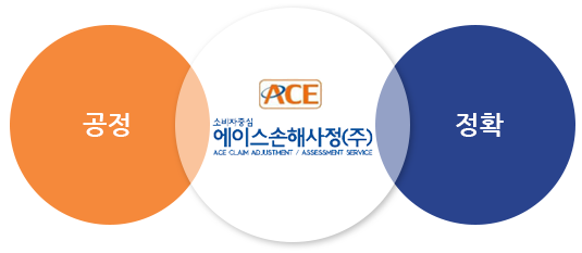 공정 , ACE 에이스손해사정(주) , 정확